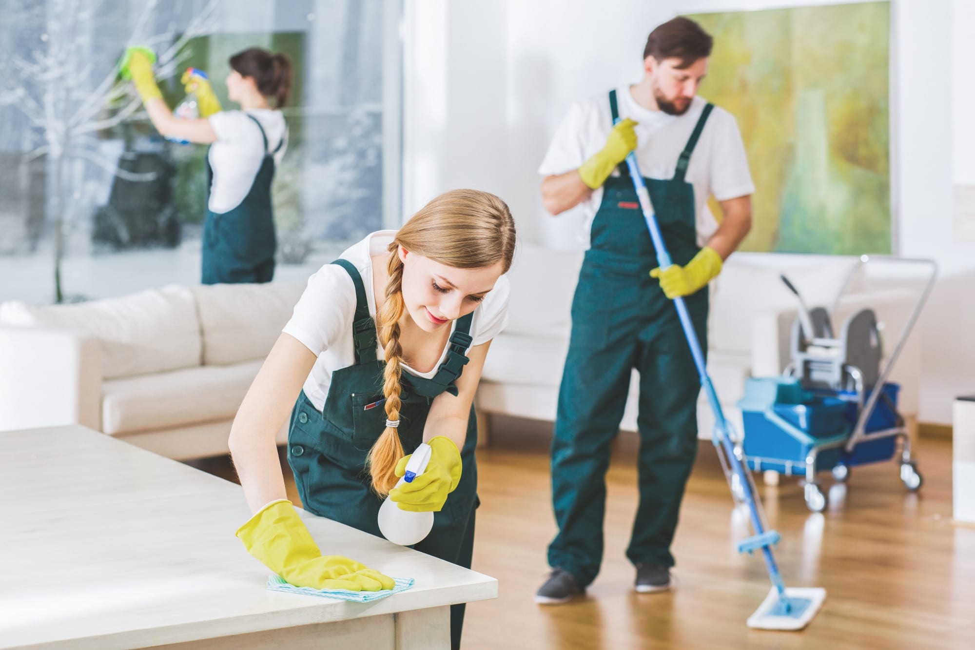 Advantages You Get Using Best Local Moving and Cleaning Services 