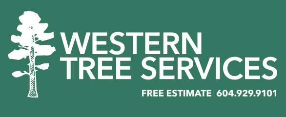 Western Tree Services